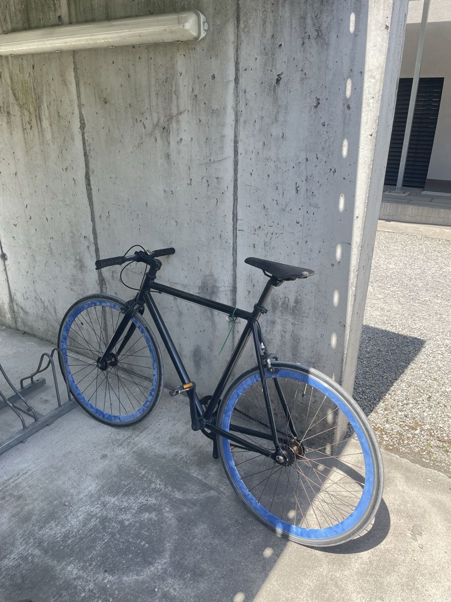 Biciclette: Uni gear bike – Usato da Zürich venduto da AnthonyPrimi