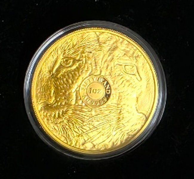 Tutti le monete: 1 oz Big Five Gold Leopard 2023 – Usato da Caslano venduto da Pspidi 3