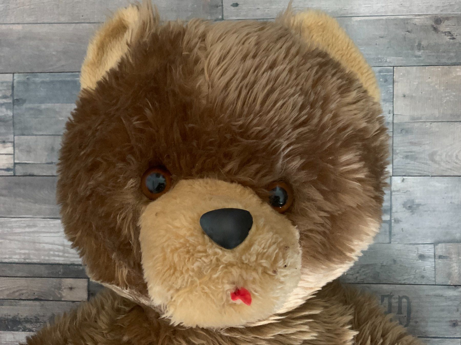 Spielzeuge: Teddybär – Gebraucht aus Gundetswil von Egro01 1