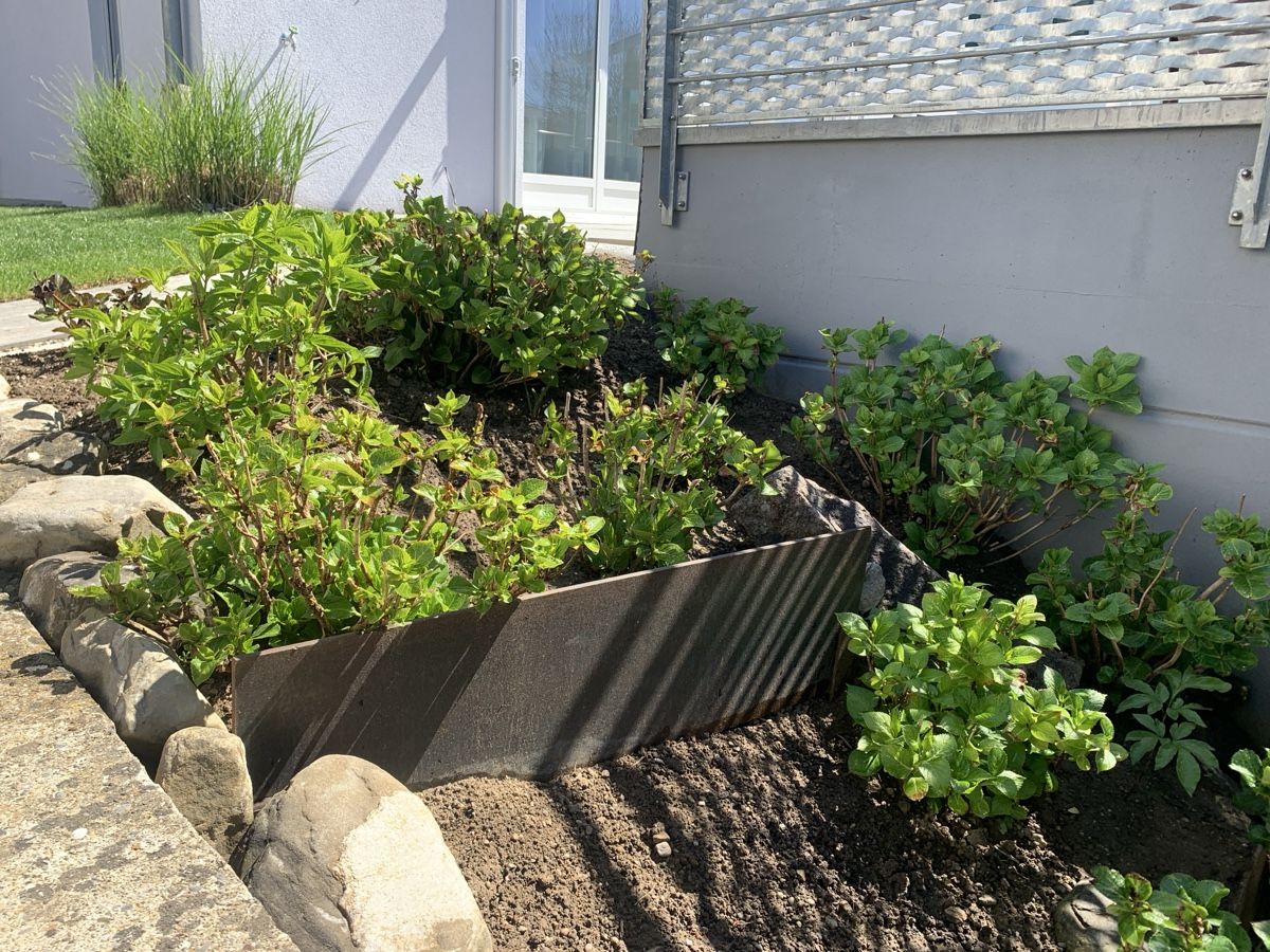 Casette da giardino & serre: Gartenbau – Usato da Dachsen venduto da Schwendi88 4