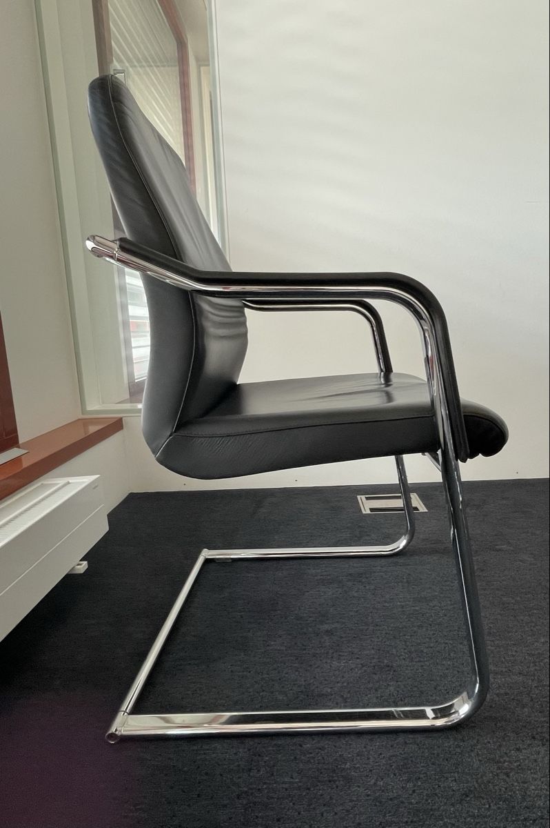 Sedie: Stuhl in Lederoptik – Usato da Liestal venduto da RaFlo2207 1