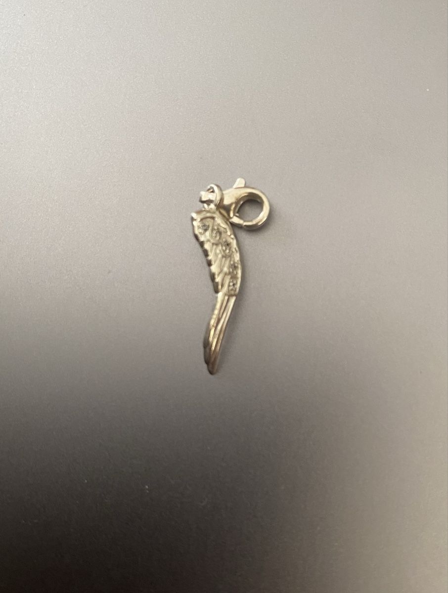 Thomas Sabo Ciondoli: Thomas Sabo Charm Engelsflügel – Usato da Muri AG venduto da sonneblueme10