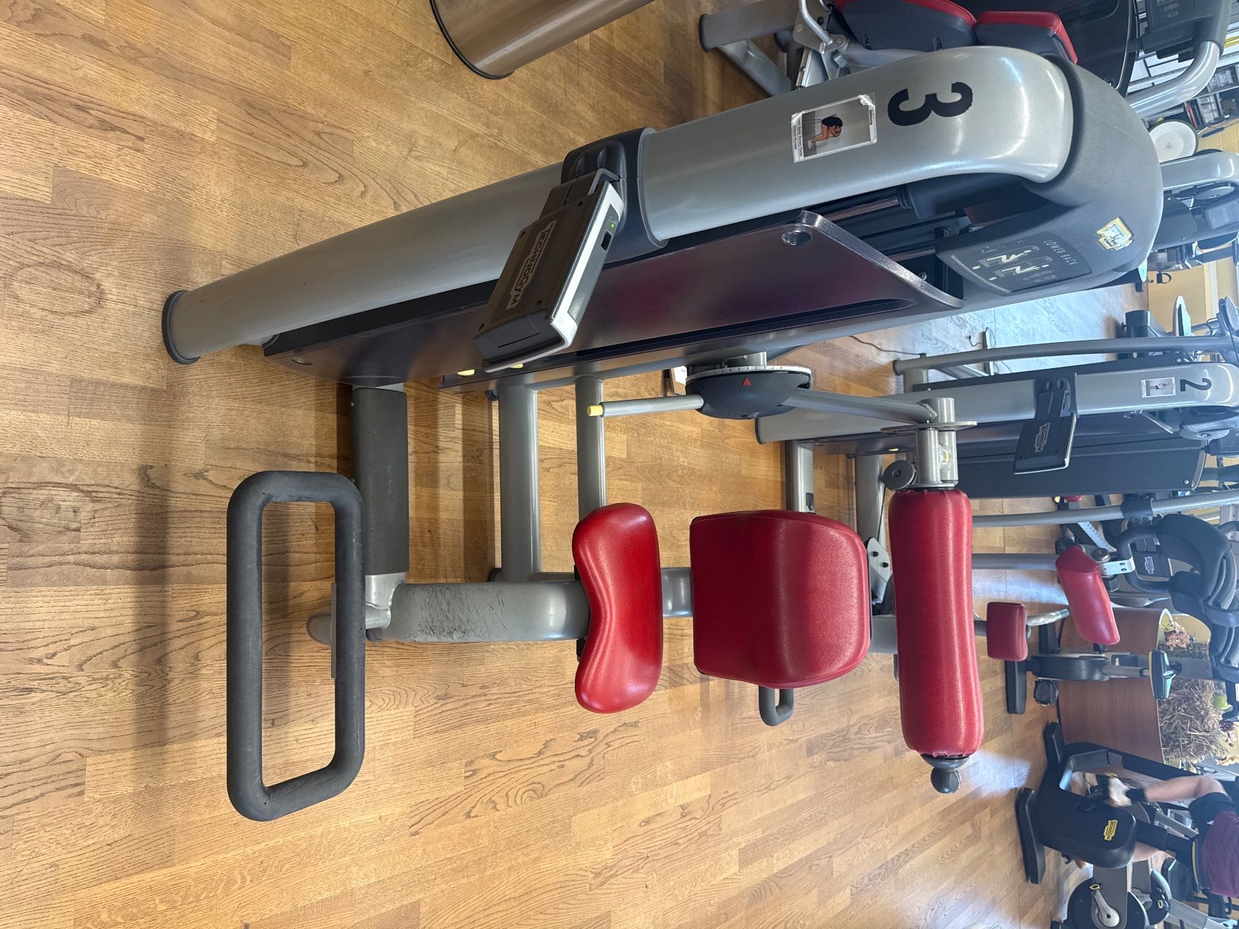 Technogym Vélos d'appartement: Technogym Lower Back - Rückenstrecker - 300VB – D'occasion à Mettmenstetten par Nils_Gut_GZG 1