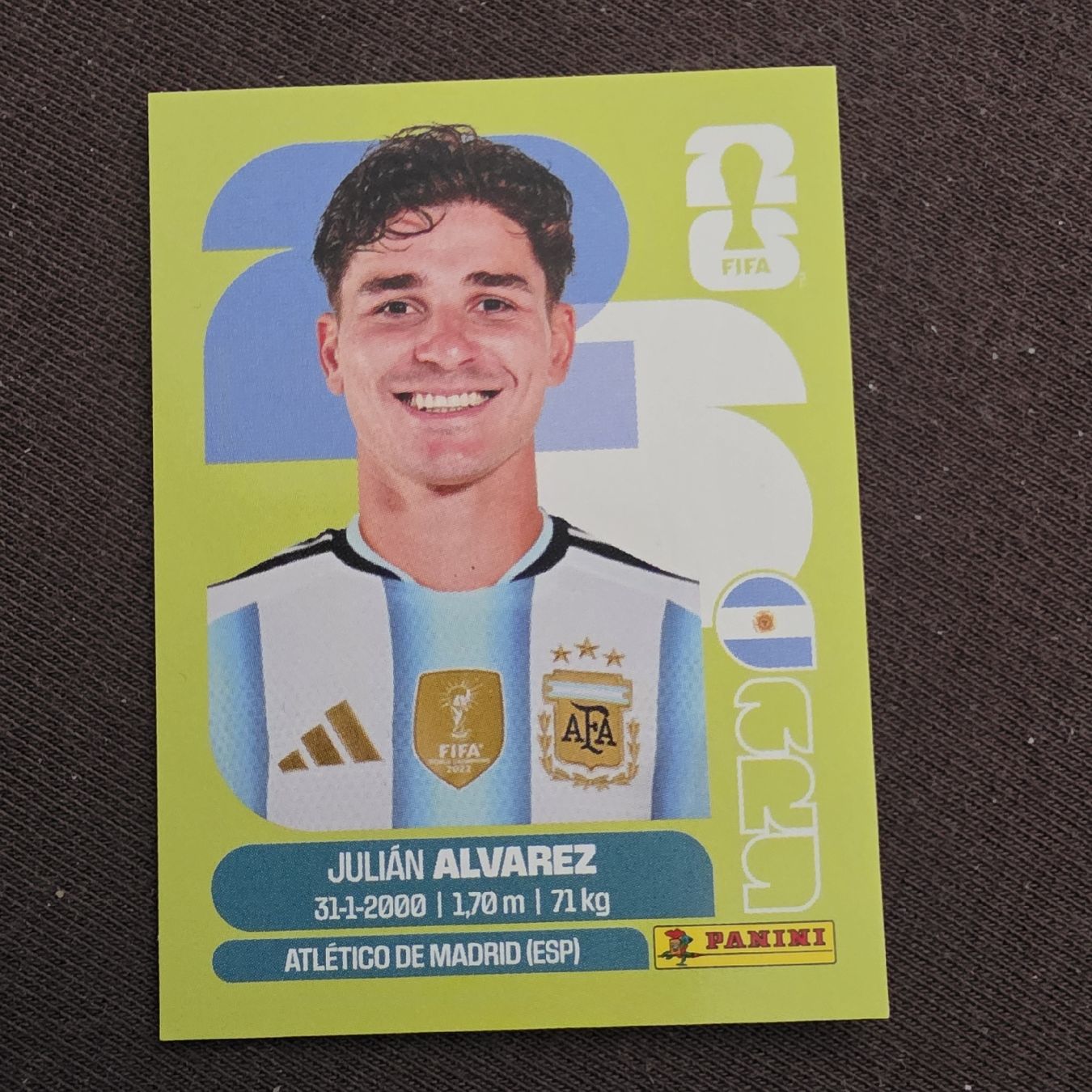 Panini Carte collezionabili: Panini Sticker ARG19 Julián Alvarez  – Nuovo e nell'imballaggio originale da Buchs AG venduto da wickyjen88
