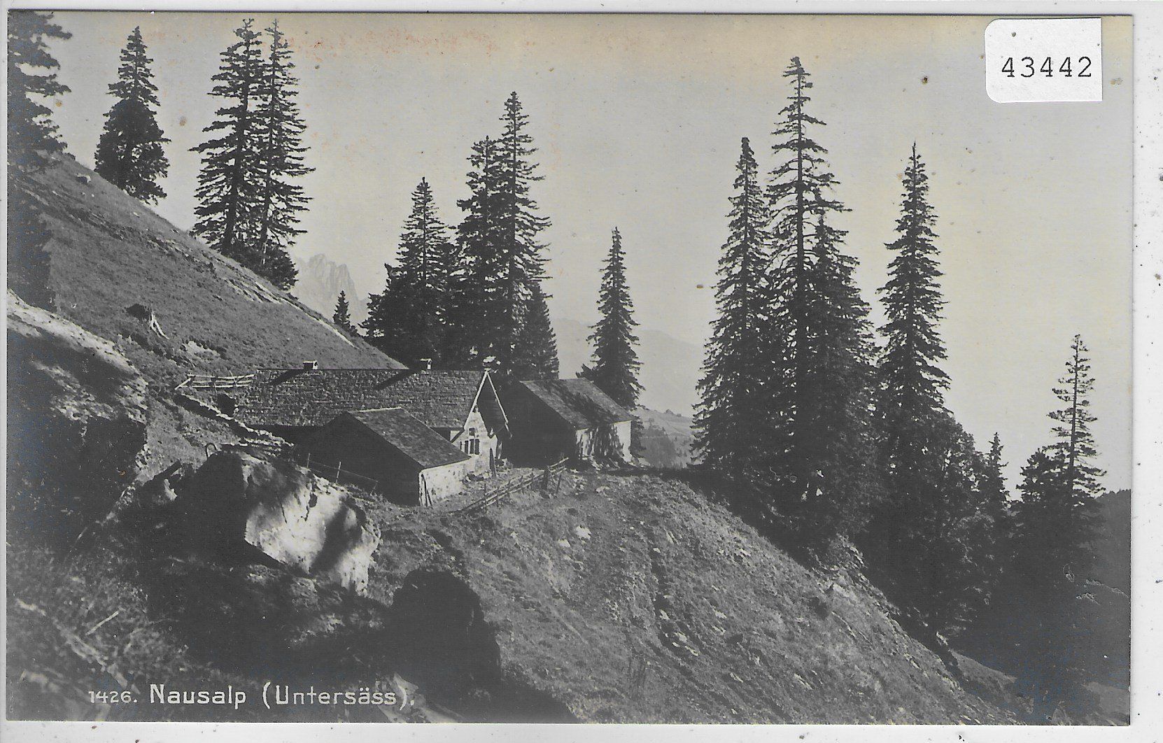 Cartoline postali: Nausalp (Untersäss) Grabs – Usato da Ettingen venduto da Kartenplanet