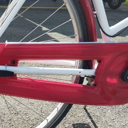 Biciclette: Kristall Damenvelo City – Usato da Meierskappel venduto da DayaMaya 4