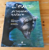 Livre "L'ours grandeur nature" neuf