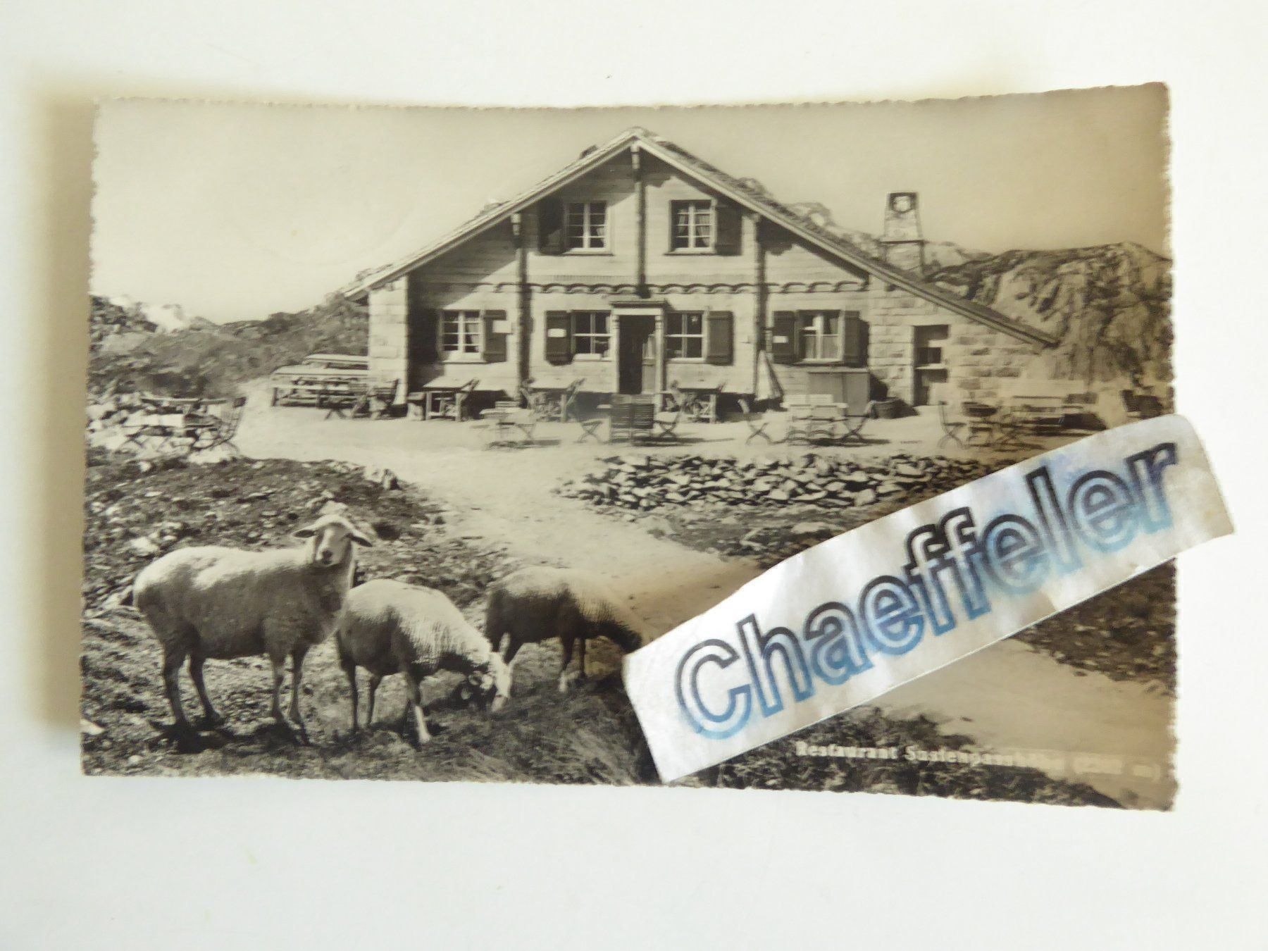 Cartes postales: 1950 Restaurant Sustenpasshöhe – D'occasion à Zürich par Chaeffeler