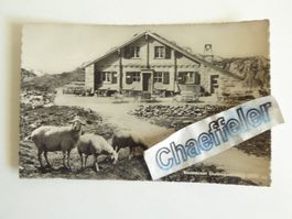 1950 Restaurant Sustenpasshöhe