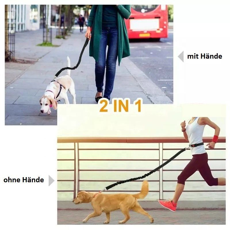 Guinzagli & Collari: EXA Hände Frei Hundeleine / Joggingleine – Nuovo e nell'imballaggio originale da Werdenberg venduto da EXA-Animal-World