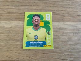Panini WM Vinicius Jr.