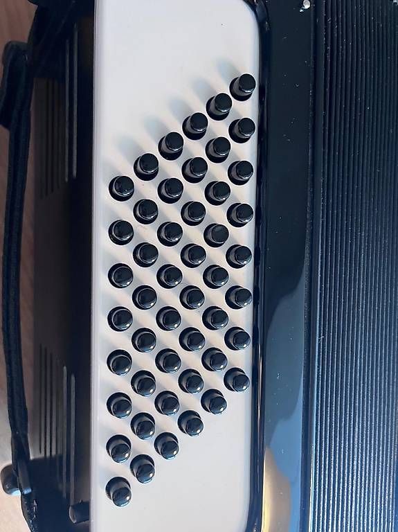 Hohner Strumenti musicali: Akkordeon Hohner Bravo ll 48 – Usato da Basel venduto da flumir 3