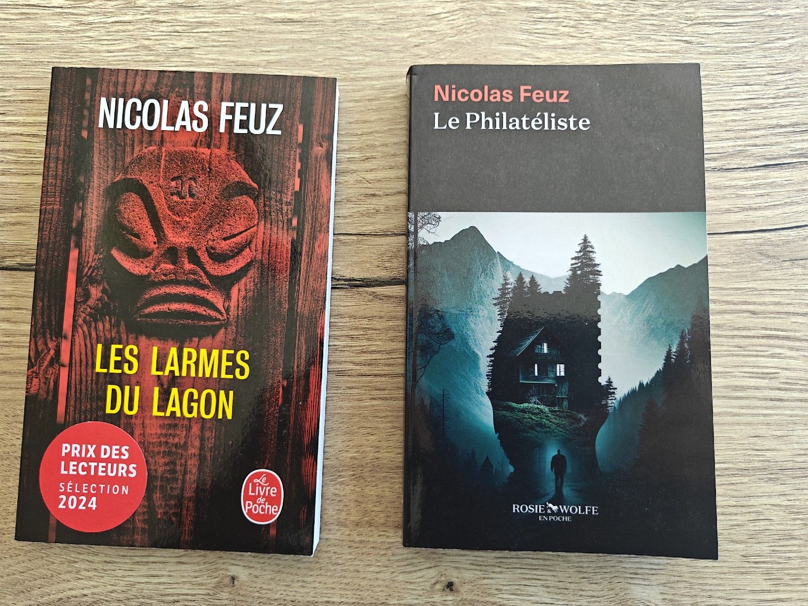 Libri: 2 livres Nicolas Feuz – Usato da Châbles FR venduto da salocin66