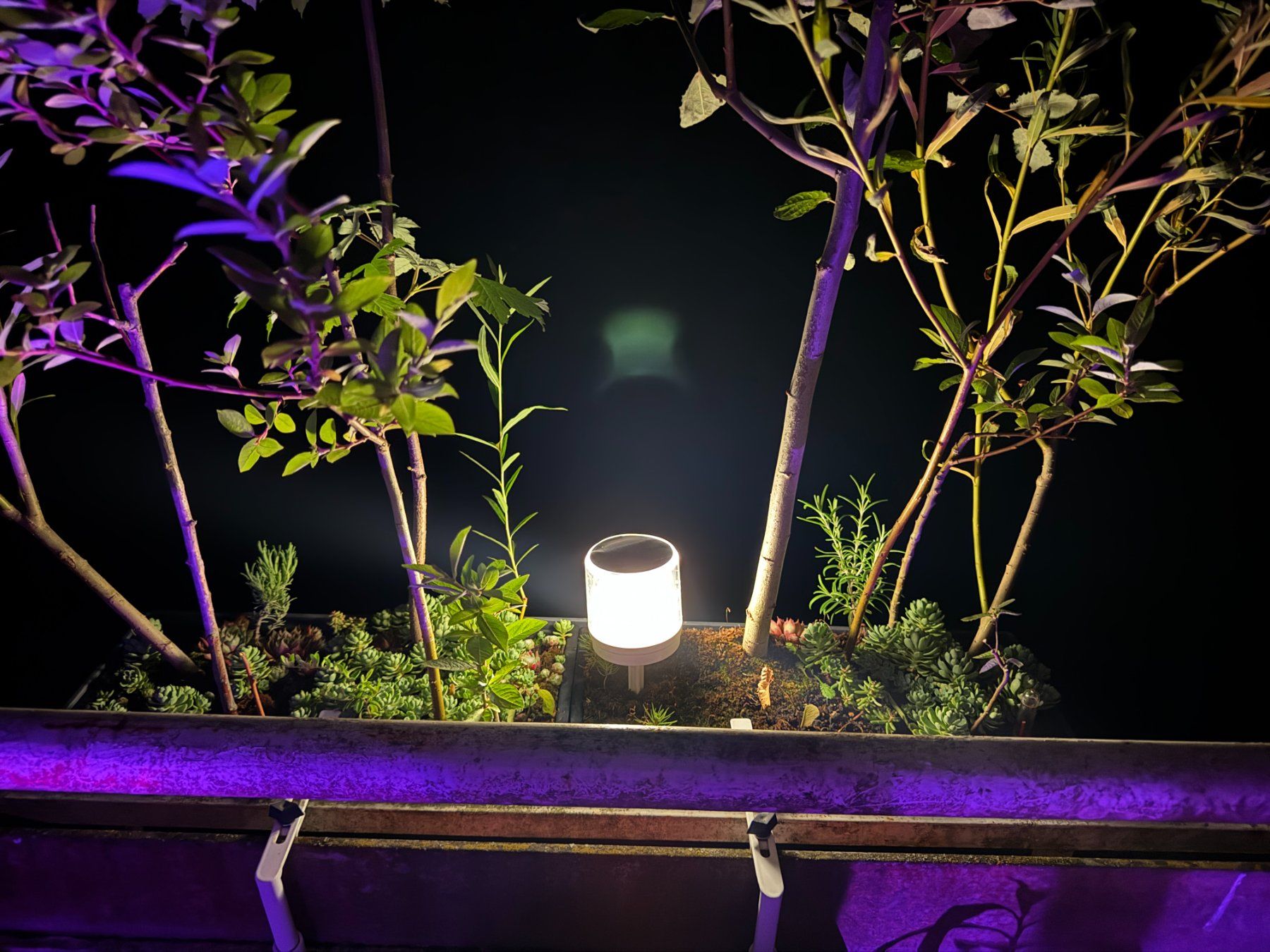 Lampade: Solar Tischlampe (verschiedene Farben) – Usato da Schlieren venduto da Edgar_k 3