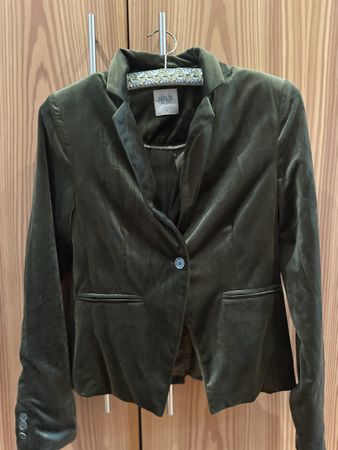Nile Blazer samt grün