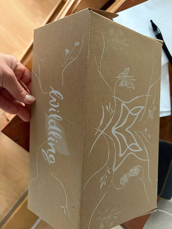 Schuhe für Jungen: Barfussschuhe Wildling – Gebraucht aus Wettingen von rahelkaiser 1