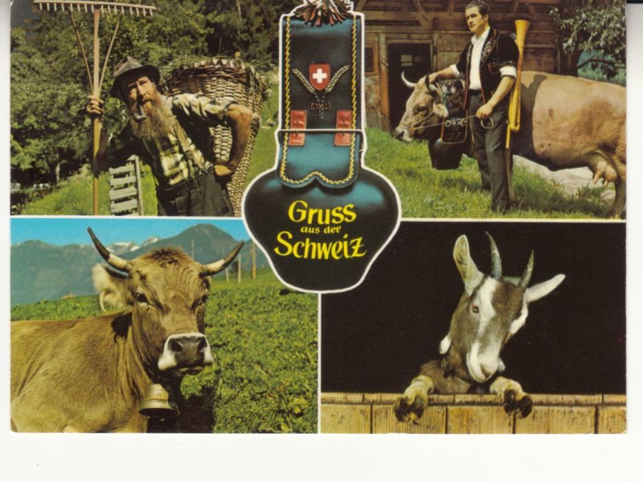 Ansichtskarten: Schweiz 1992 – Gebraucht aus Bürglen TG von StampGraf
