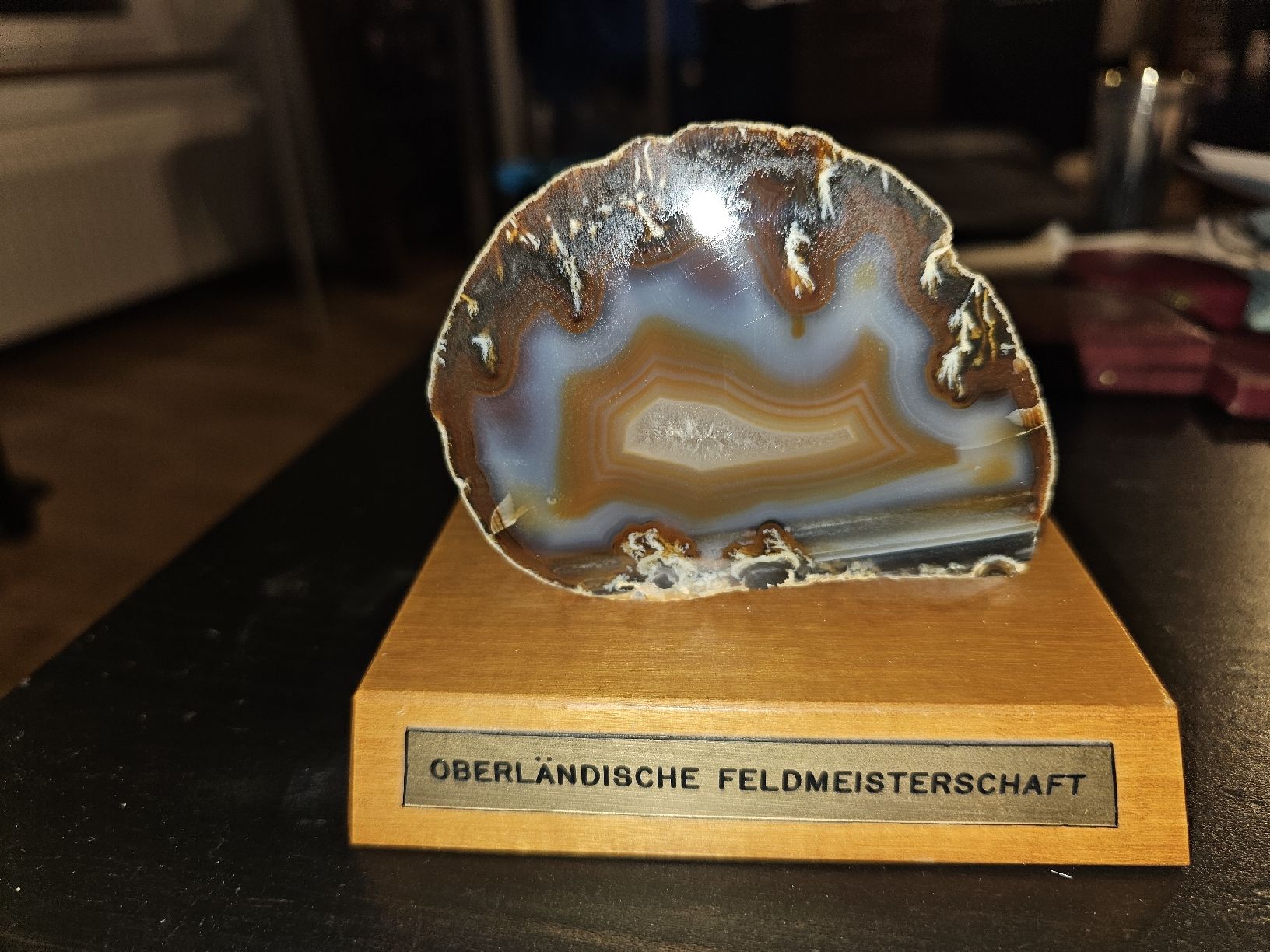 Sonstiges zum Sammeln & Seltenes: Oberländische Feldmeisterschaft – Gebraucht aus la neuveville von houeka