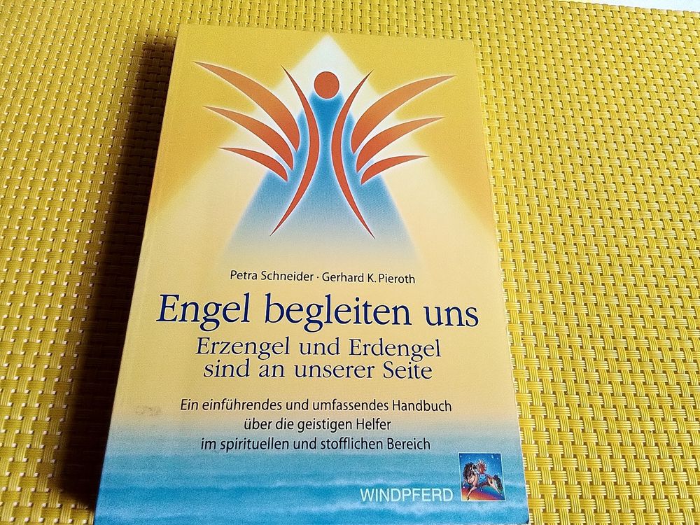 Engel begleiten uns (Neu (gemäss Beschreibung)) in Rebstein für CHF 8 ...