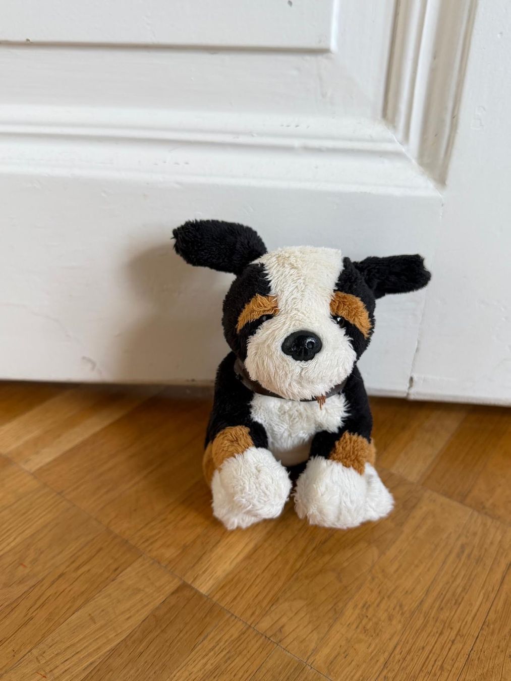 Spielzeuge: Plüschtier Hund, kuschelig, sucht neues Zuhause!❤️🐶 (50) – Gebraucht aus Zürich von sir_g6hp