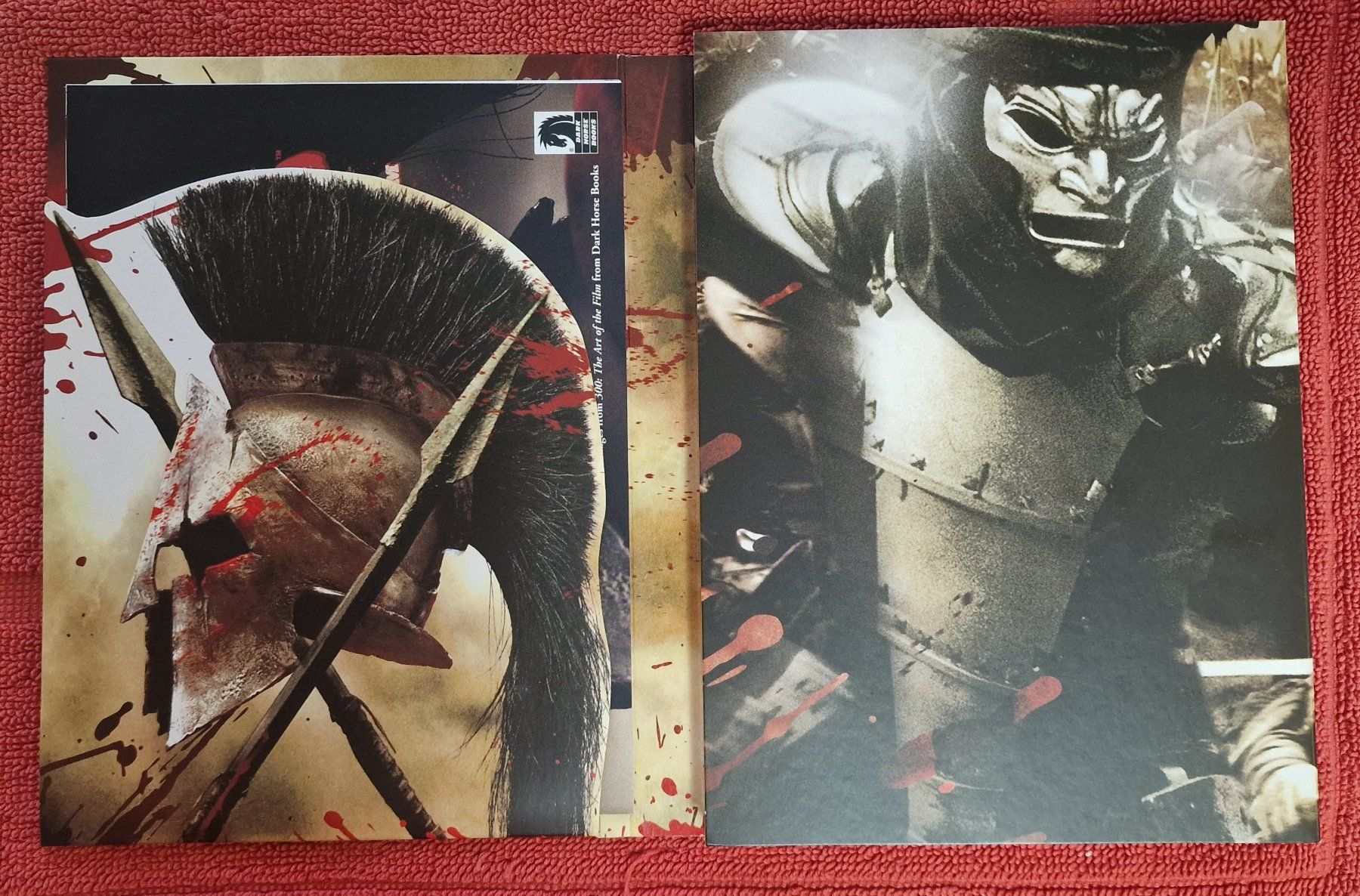 Tutti i DVDs: 300 DVD 2-Disc Special Edition (2007) – Usato da Basel venduto da phi_8xhm 2