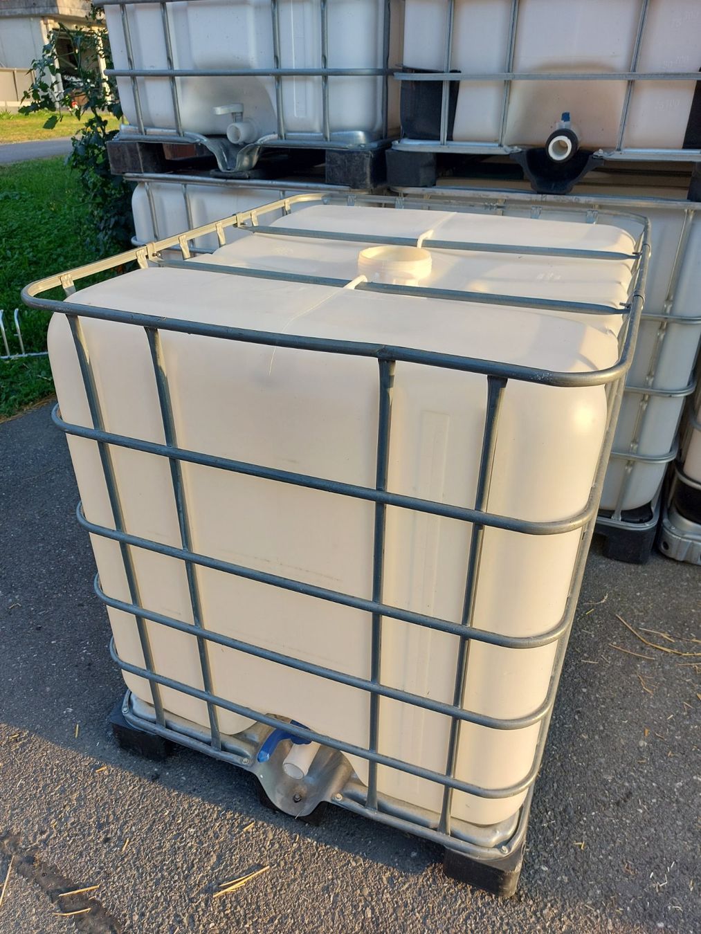 Abbeveratoi e trogoli: 1000 Liter Wassertank IBC – Usato da Siebnen venduto da Grosswis50 1