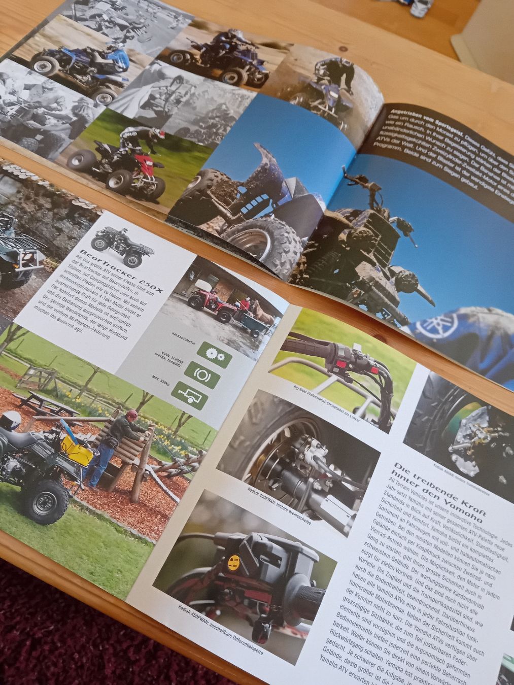 Documenti: Yamaha ATV und Quad Prospekte 2003 2 Stk – Usato da St. Urban venduto da volvodreamer 5