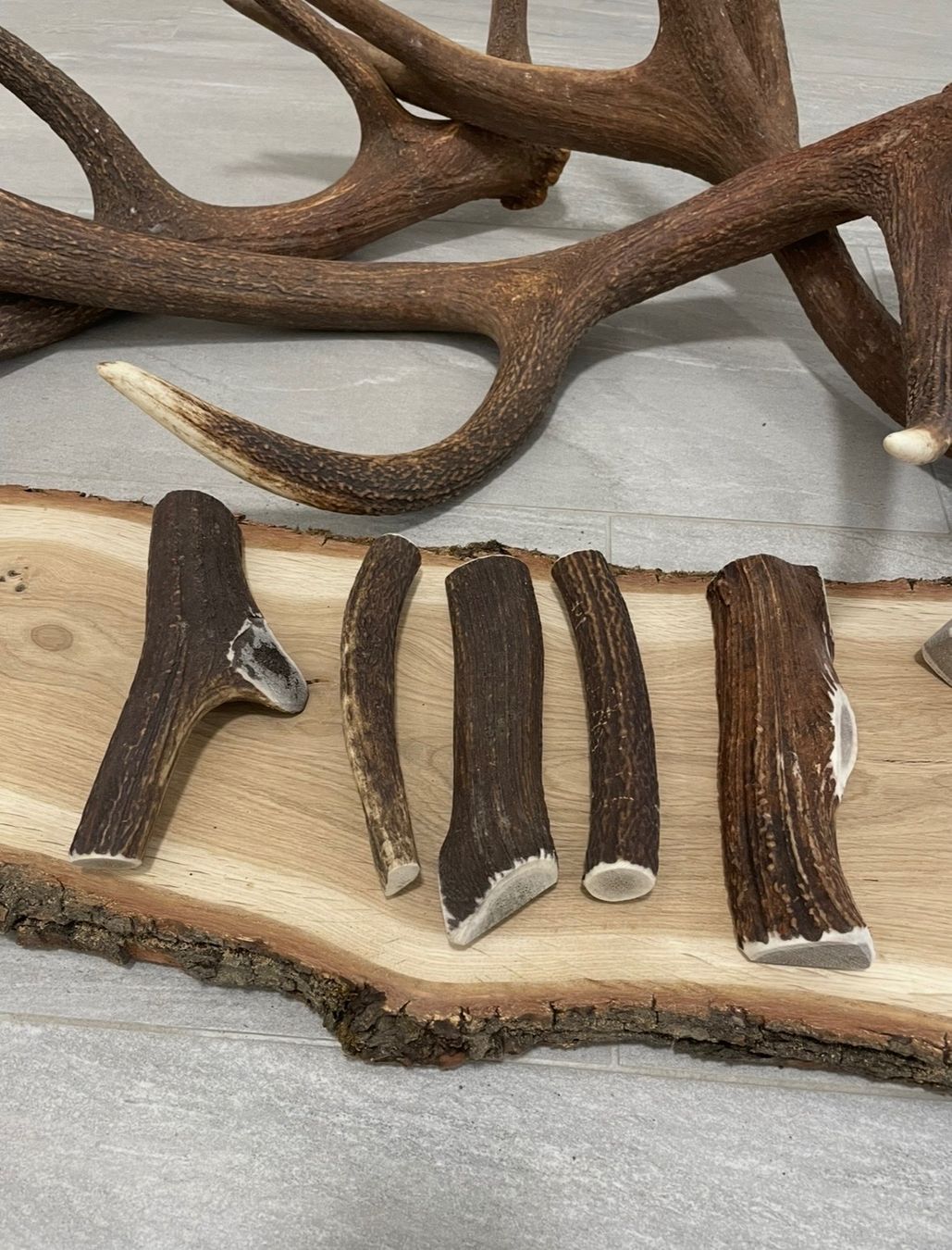 Futter: Hirsch Geweih S bois de cerf S – Gebraucht aus Vuadens von hoc_fd5p 2