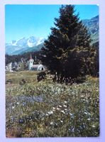 Maloja 1800 m s.m. mit Piz Corvatsch