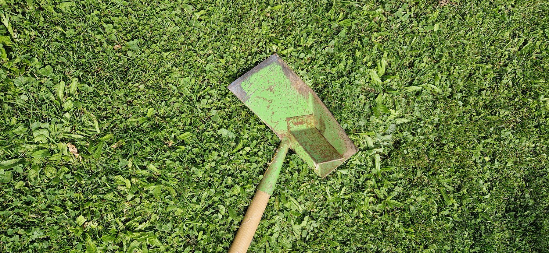 Tutti gli attrezzi: Rasen Kanten Gerät – Usato da Niederbipp venduto da Trude04