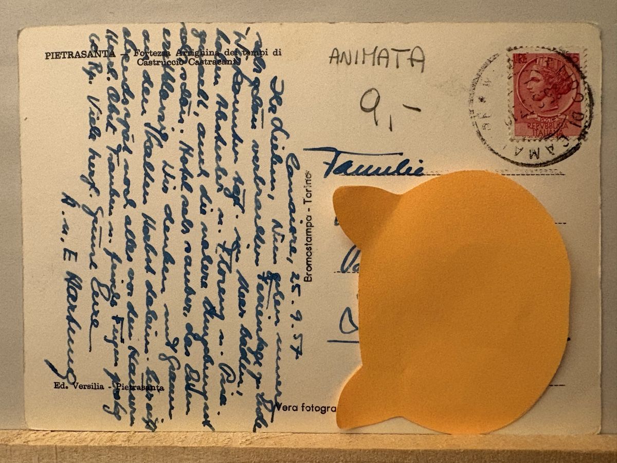 Cartoline postali: AK von Pietrasanta – Usato da Rümlang venduto da Brieftaube1 1