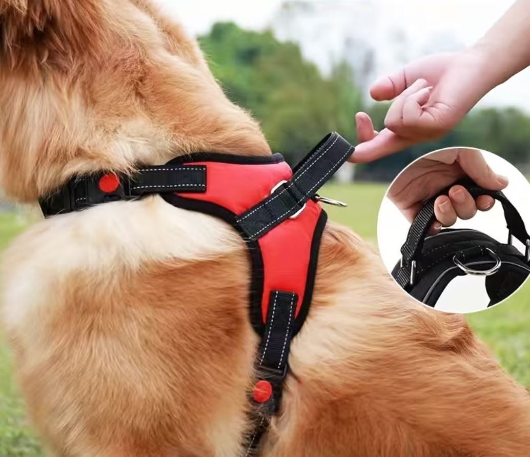Guinzagli & Collari: Hundegeschirr schwarz Gr. L oder XL – Nuovo e nell'imballaggio originale da Langenbruck venduto da Gumsi 2