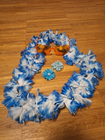 Hawaii Kostüm, Brille, Blumenschmuck
