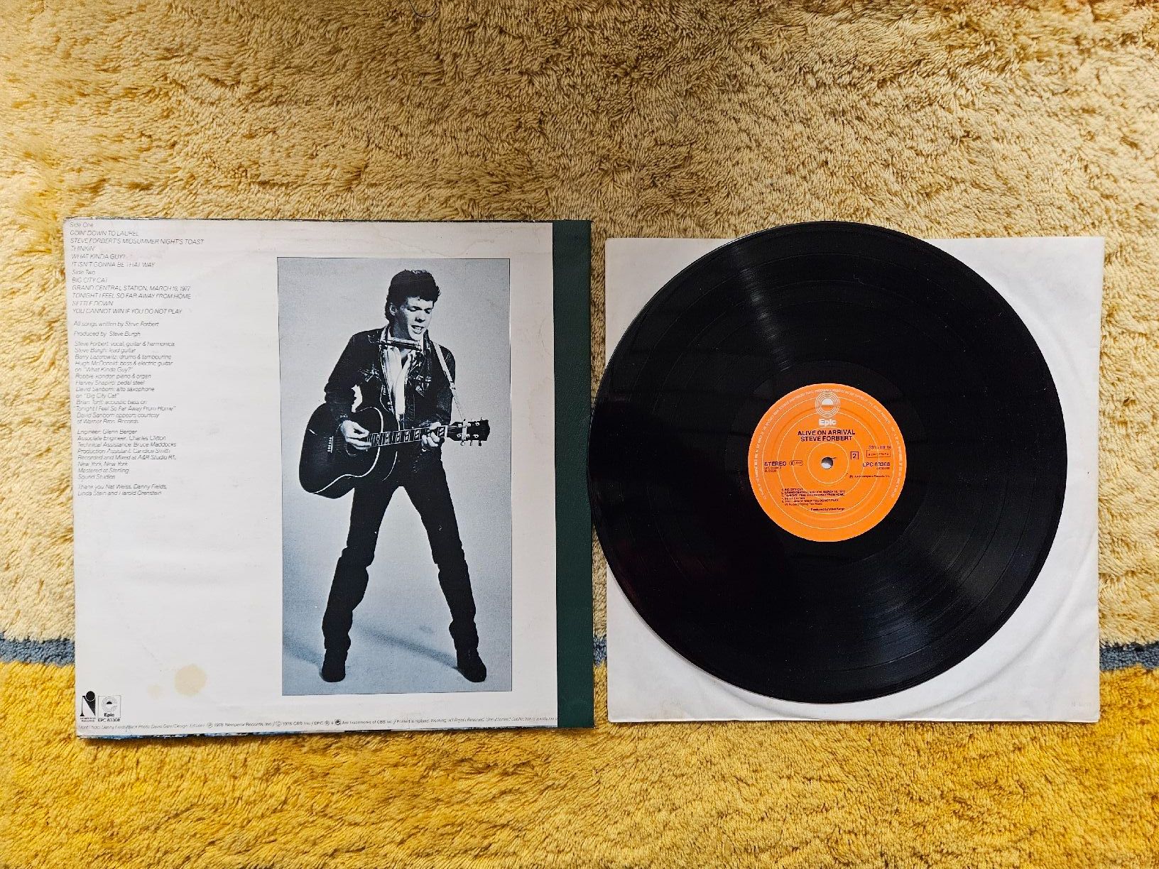 Dischi in vinile: Steve Forbert Schallplatte Lp - Alive on Arrival – Nuovo (secondo la descrizione) da Lyss venduto da Alexine 1