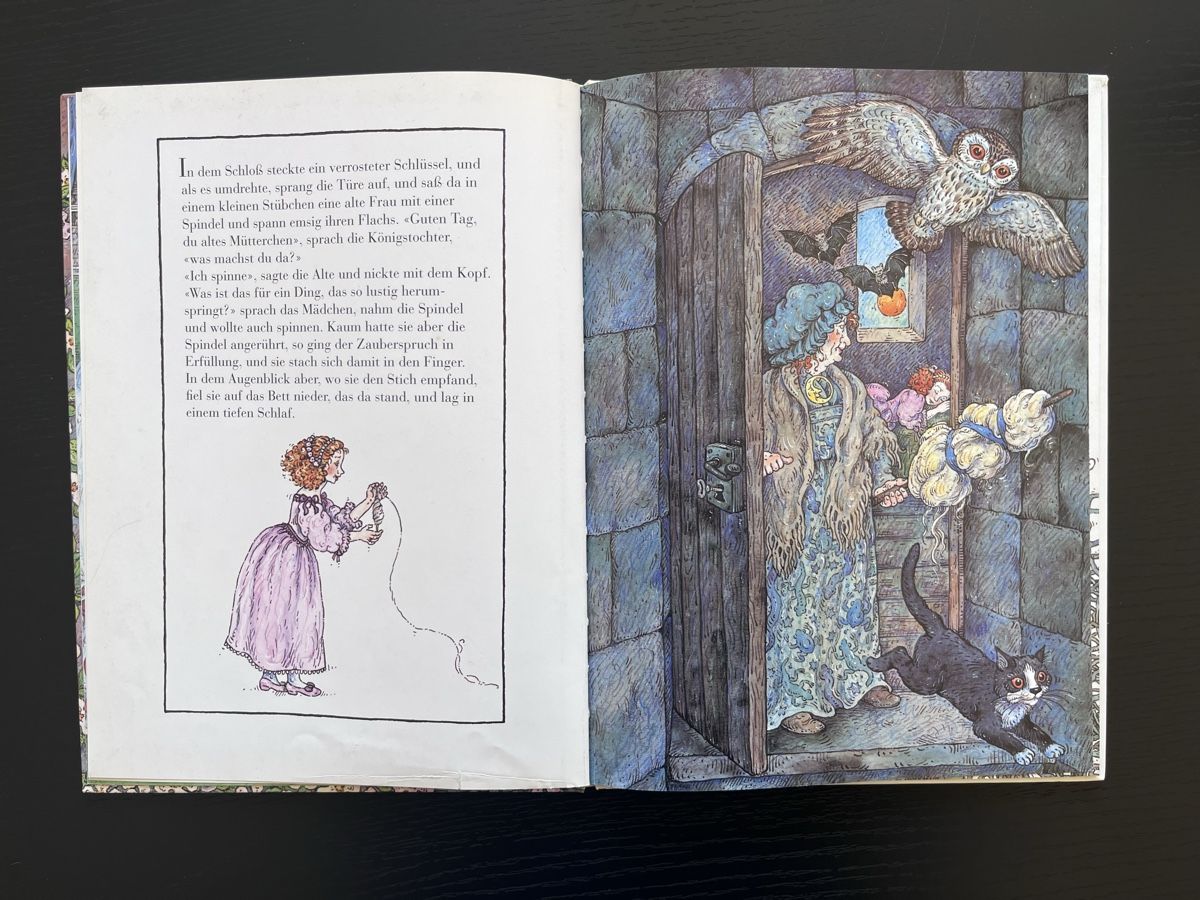 Libri: Dornröschen Bilderbuch, Märchen, 1995 – Usato da Basel venduto da Nath- 2