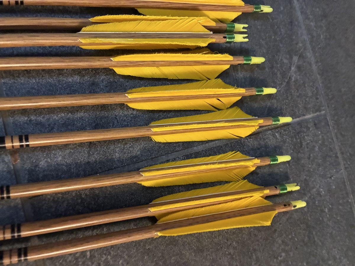 Tiro con l'arco: Pfeile Gold Tip – Usato da Oberkirch LU venduto da Fox00 1