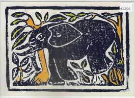 Elefant - WWF Projekt Kamerun