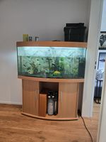 Aquarium mit Kabinett inkl. Fische