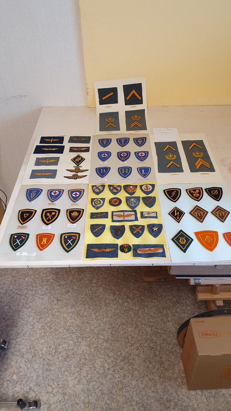 Schweizer Armee Placchette & Badge: Schweizer Militär div. Abzeichen Ord. 1949 – Usato da Richigen venduto da Auerhahn11