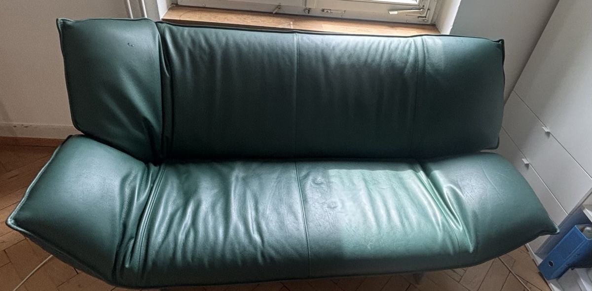 Leolux Sofas: Leolux Tango Grünes Sofa – D'occasion à Zürich par len_yj7n 4