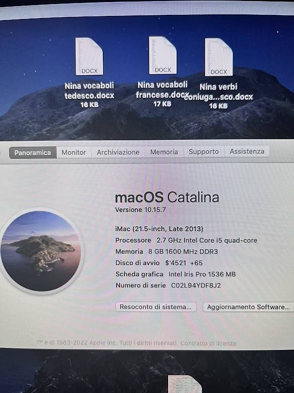 PC: iMac 21.5, Late 2013 - 1 TB (SSD) – Usato da Mendrisio venduto da jj67 2