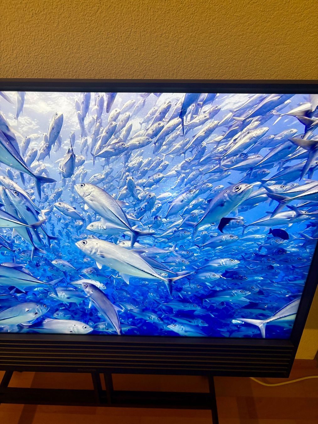 Bang & Olufsen Fernseher: Beovision Horizon 40 – Gebraucht aus Muri b. Bern von Lionking3 2