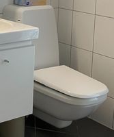 Dusch-WC