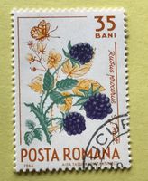 Briefmarken aus Rumänien gestempelt  Siehe Original Fotos. 