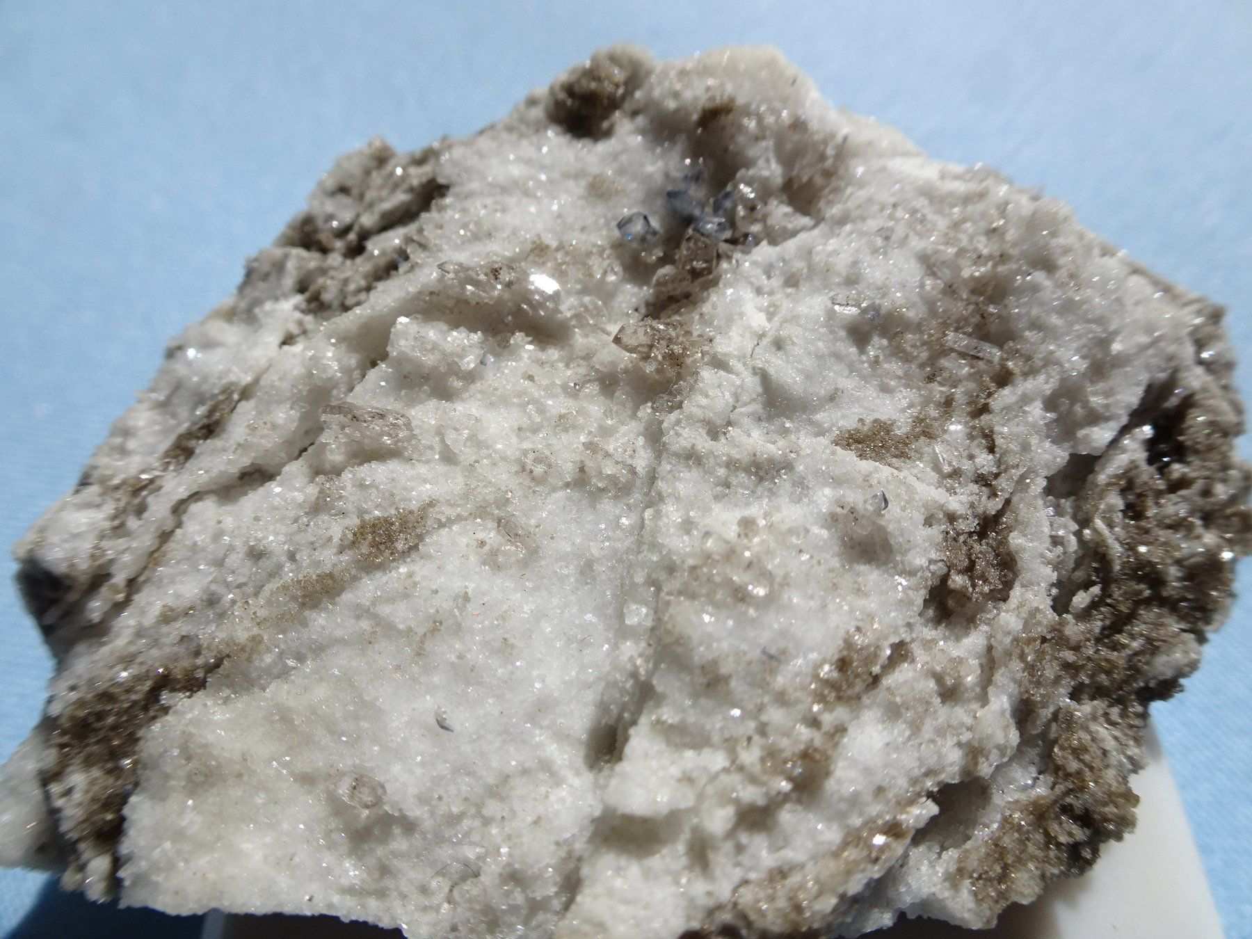 Minerali & Pietre curative: Blaue Titanit Val Maigels  Selten – Nuovo (secondo la descrizione) da martina venduto da Tignuppa 3