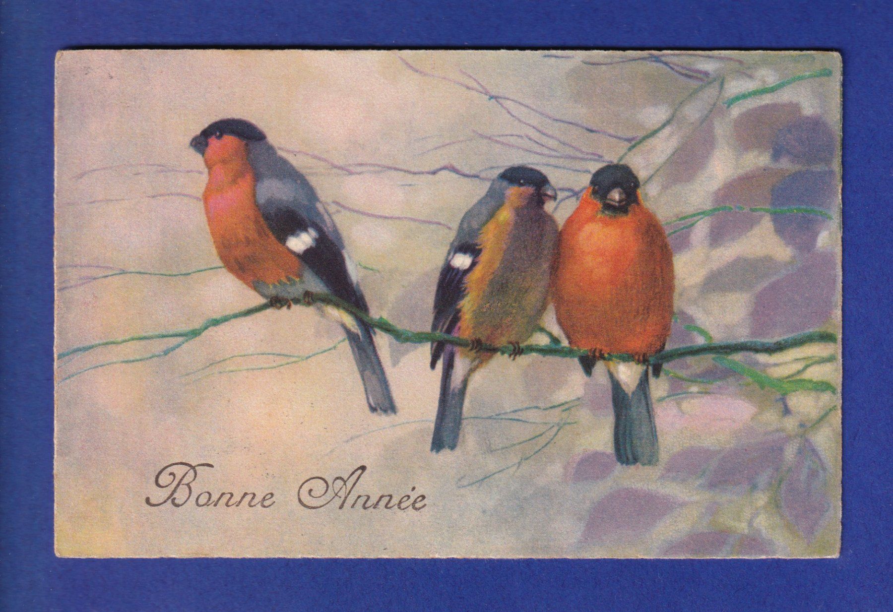Cartoline postali: OISEAU - Bonne Année – Usato da Pully venduto da nicecards-shop