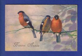 OISEAU - Bonne Année