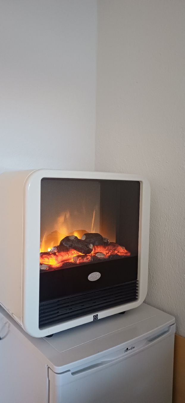 Heizgeräte: EWT Optiflame – Gebraucht aus Hugelshofen von joe248 1