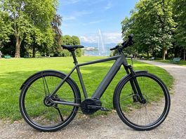 Riese & Müller Roadster 45 km/h Taille L (2023) 2 Batteries