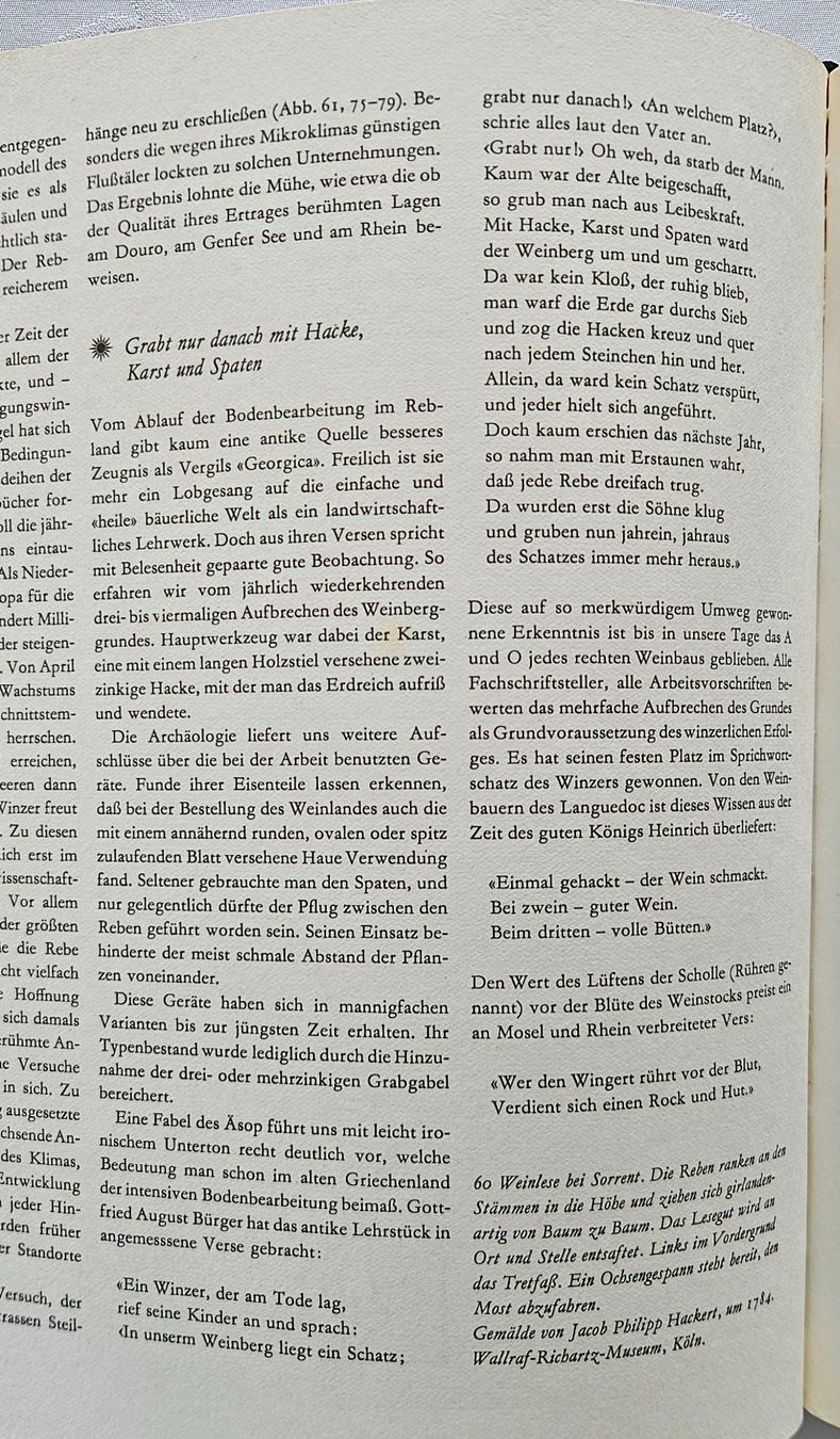 Libri: Vivat Bacchus (1975) – Usato da Küsnacht ZH venduto da scholli58 3